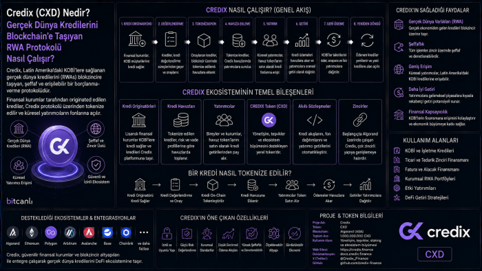 Credix (CXD) Nedir? Gerçek Dünya Kredilerini Blockchain'e Taşıyan RWA Protokolü Nasıl Çalışır?